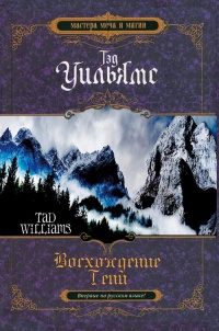 Восхождение тени - Тэд Уильямс