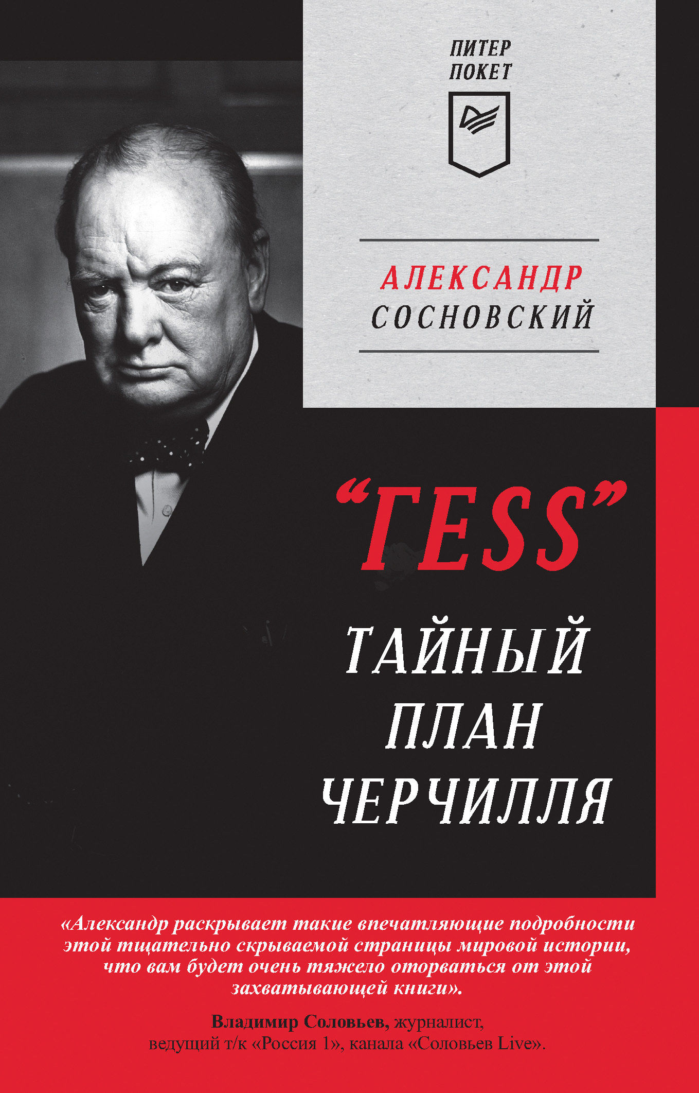 «ГESS». Тайный план Черчилля - Александр Васильевич Сосновский