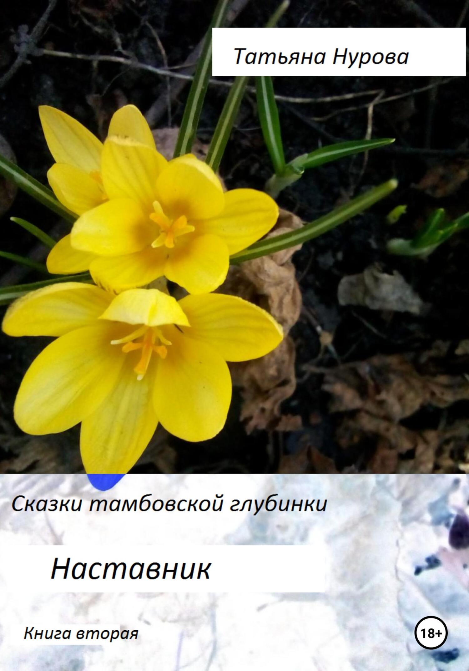 Сказки тамбовской глубинки. Вторая книга. Наставник - Татьяна Анатольевна Нурова