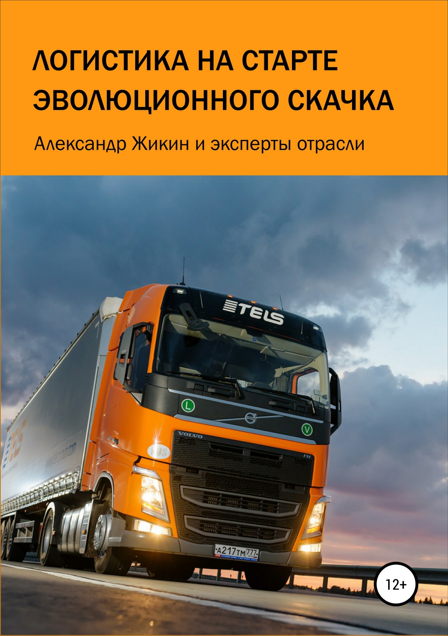 Логистика на старте эволюционного скачка - Юлия Бегун