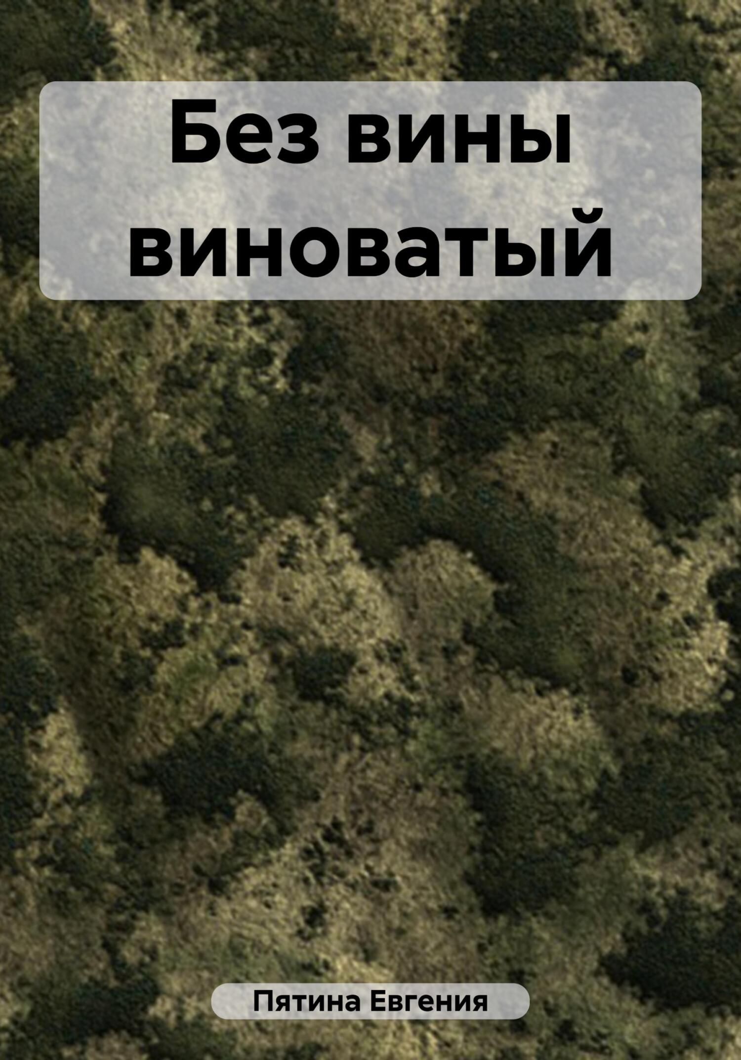 Без вины виноватый - Евгения Пятина