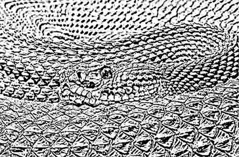 Джентльмен змеиного мира - Морис Кейн