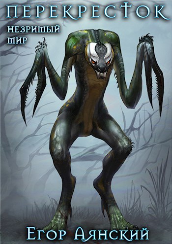Незримый мир. Перекресток - Егор Аянский