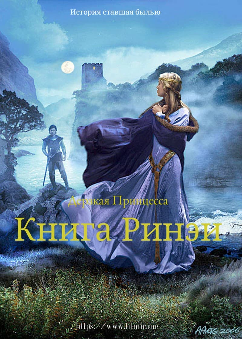 Книга Ринэи - Андрей Закаблуков