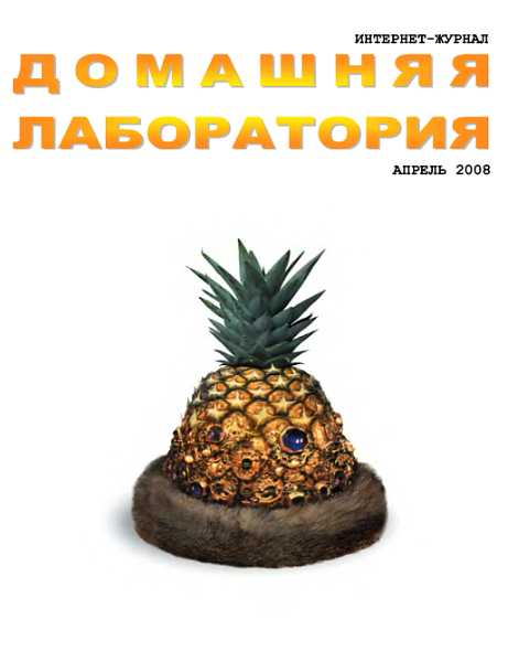 Интернет-журнал "Домашняя лаборатория", 2008 №4 - Журнал «Домашняя лаборатория»