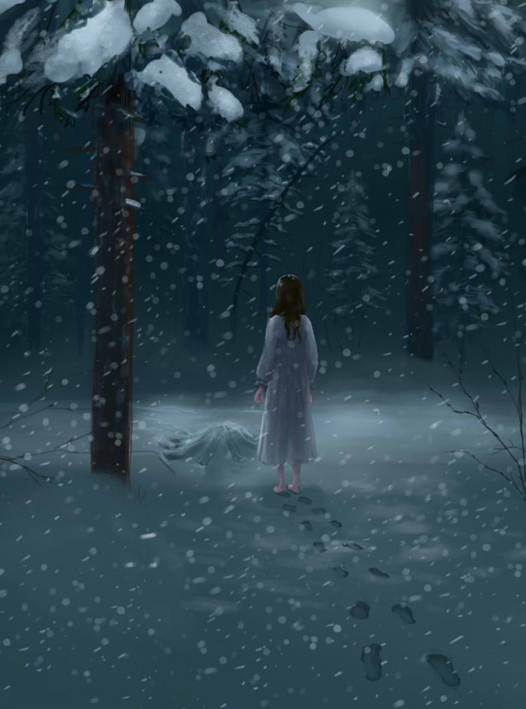 Северные истории. Книга II. Потерянная жена - Глиссуар