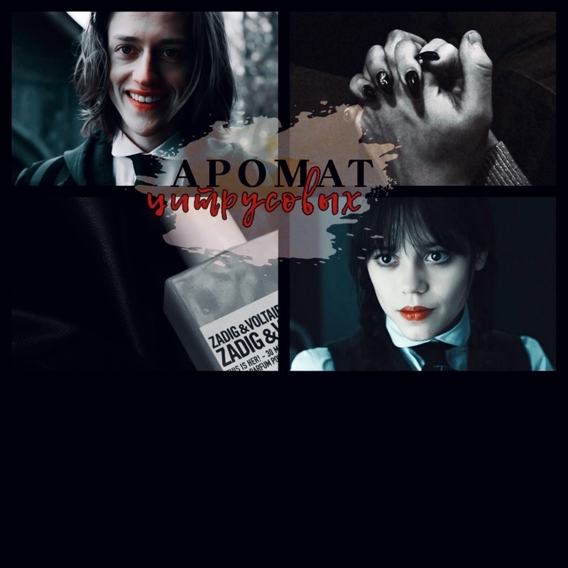 Аромат цитрусовых - Соло