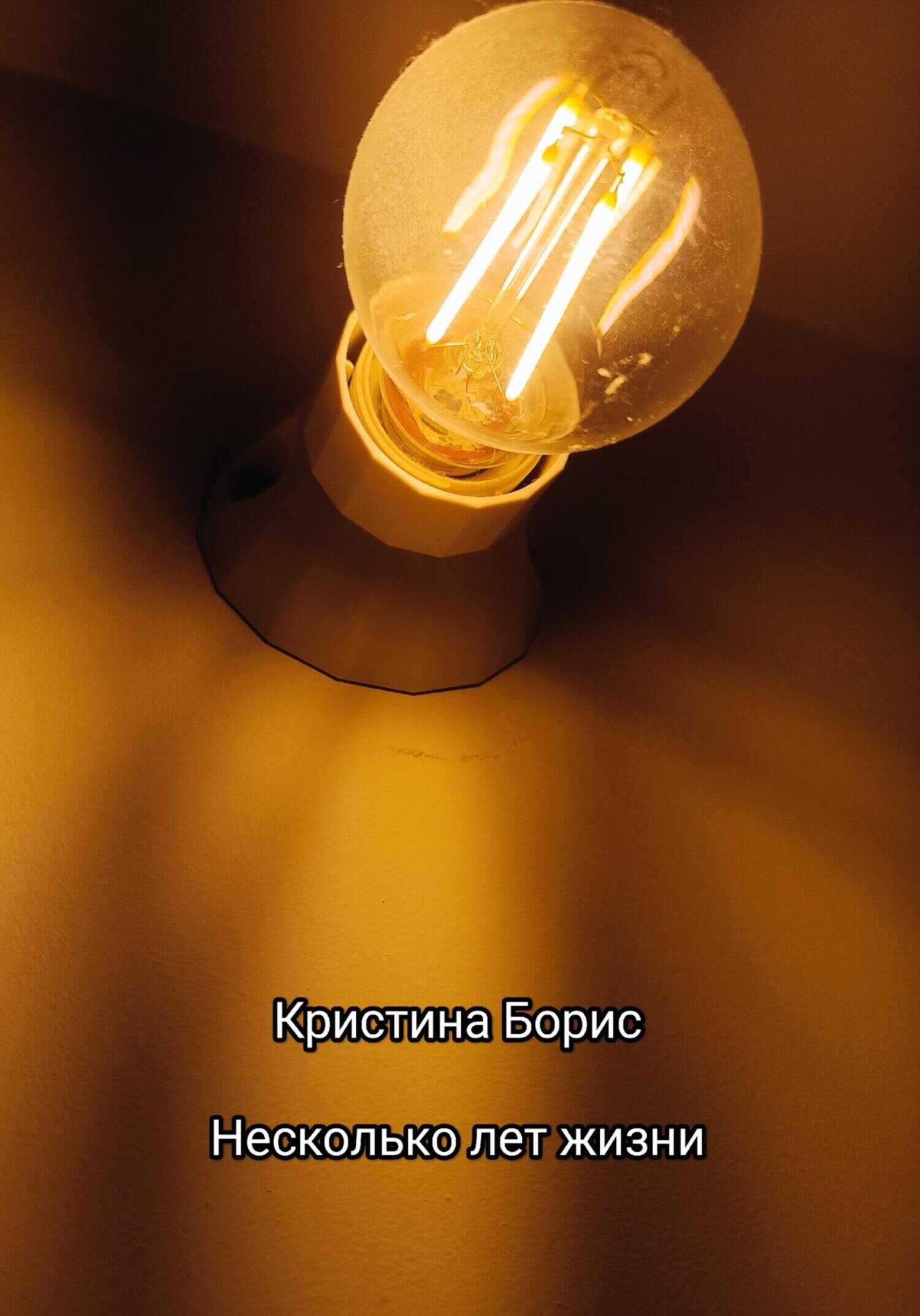 Несколько лет жизни - Кристина Александровна Борис