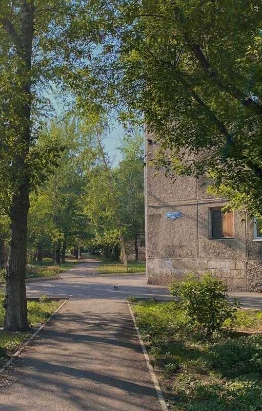 Солнечный день - Солодкова