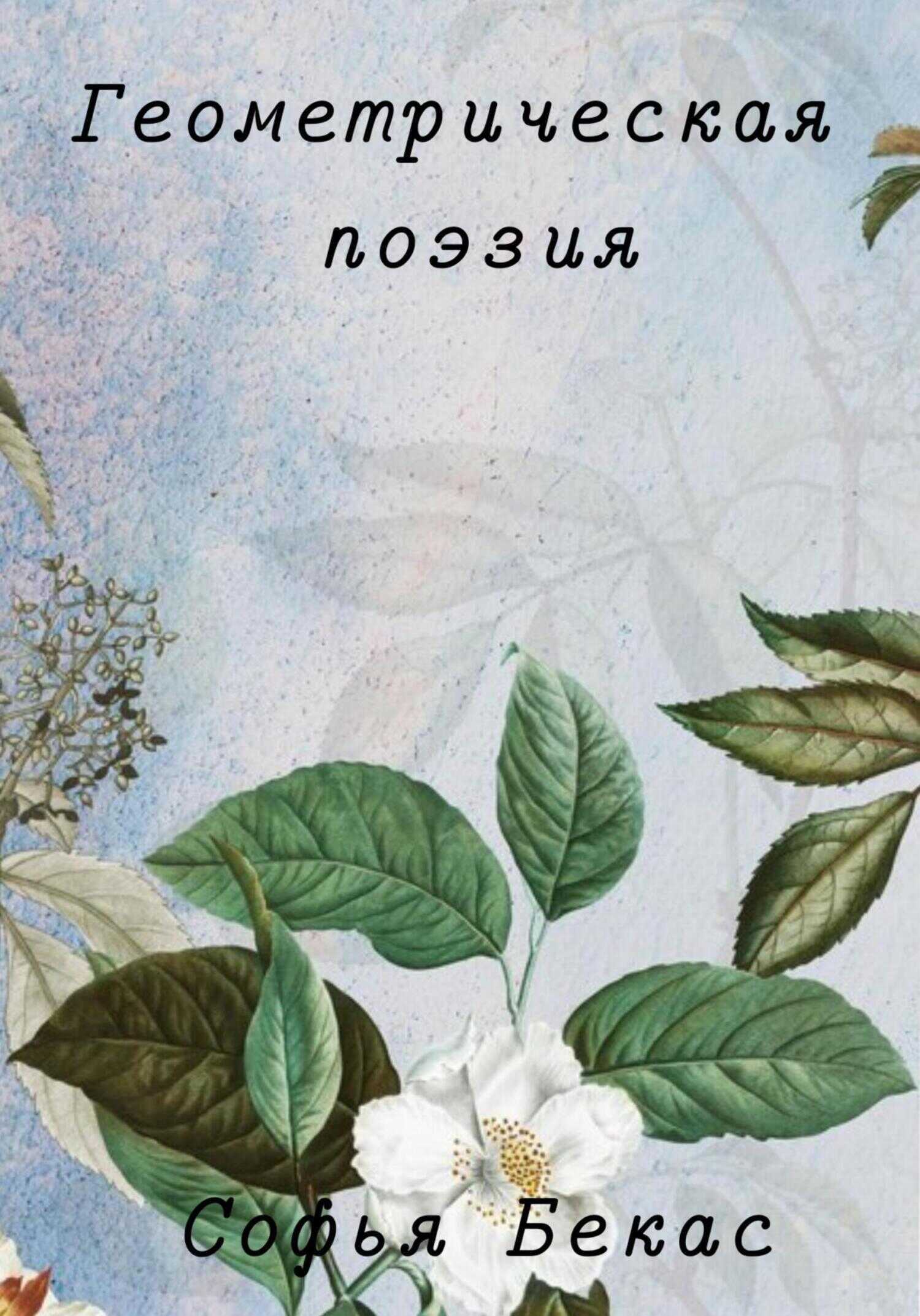 Геометрическая поэзия - Софья Бекас