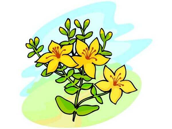 Зверушки в нашем саду - Н. М. Жирмунская