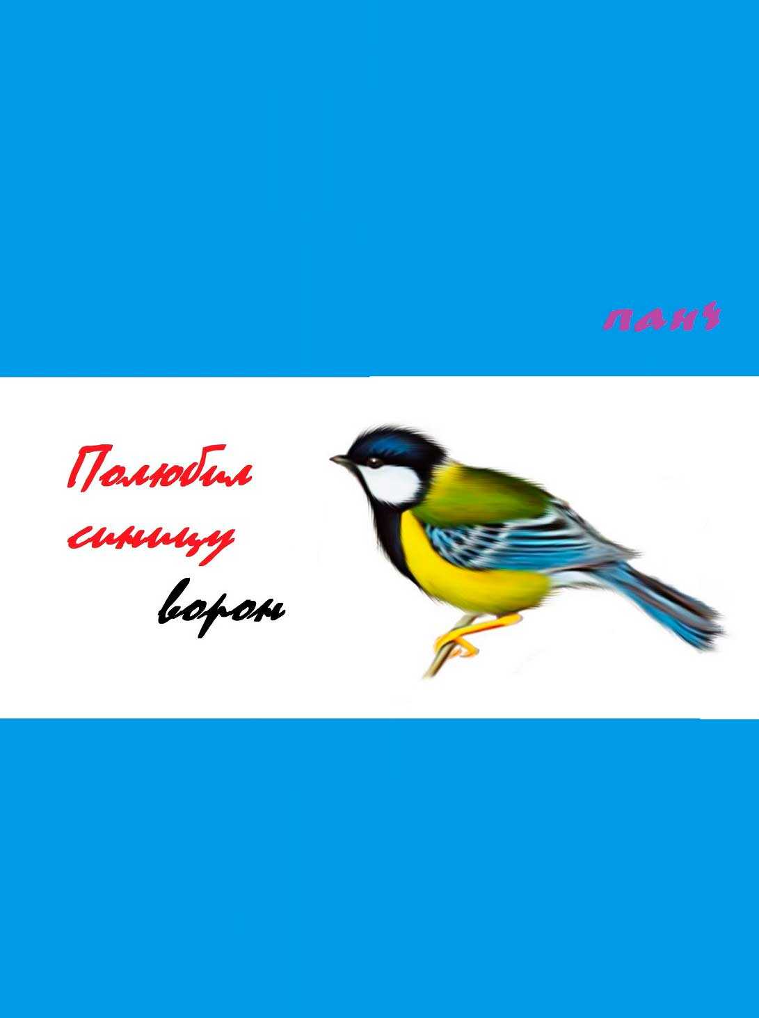 Полюбил синицу ворон… - Панч