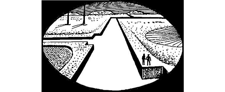 В серебристой лунной мгле - Рэй Брэдбери