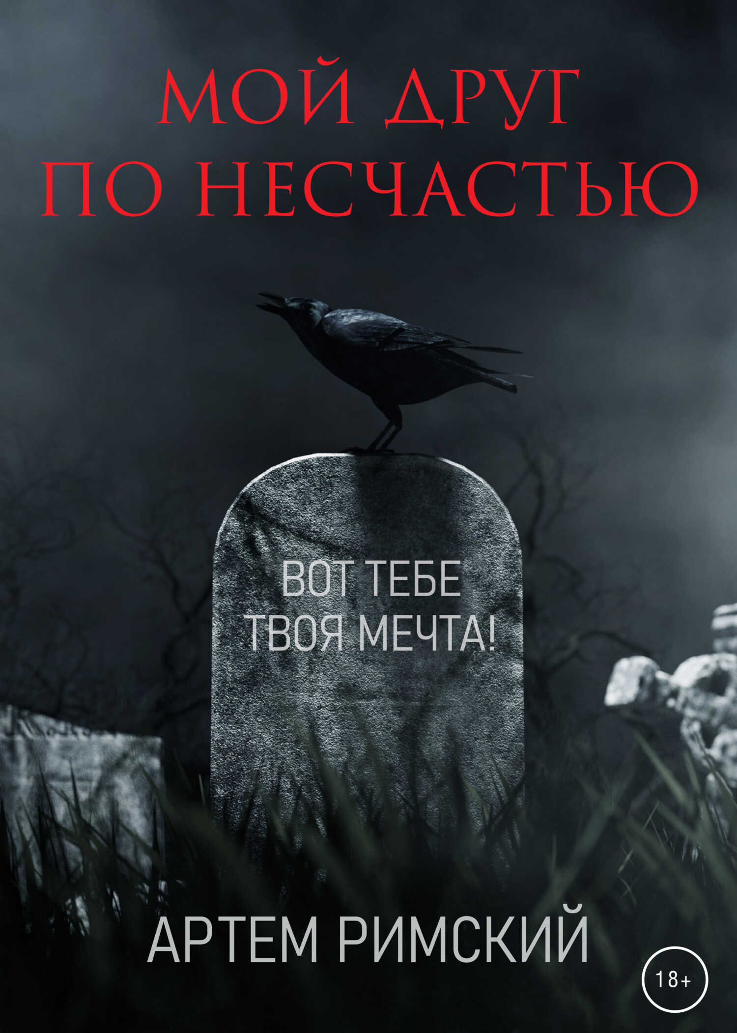 Мой друг по несчастью - Артём Римский