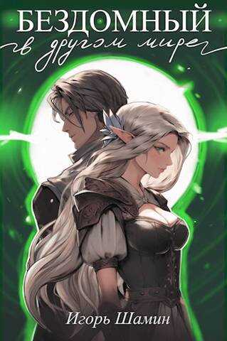Бездомный в другом мире - Игорь Шамин