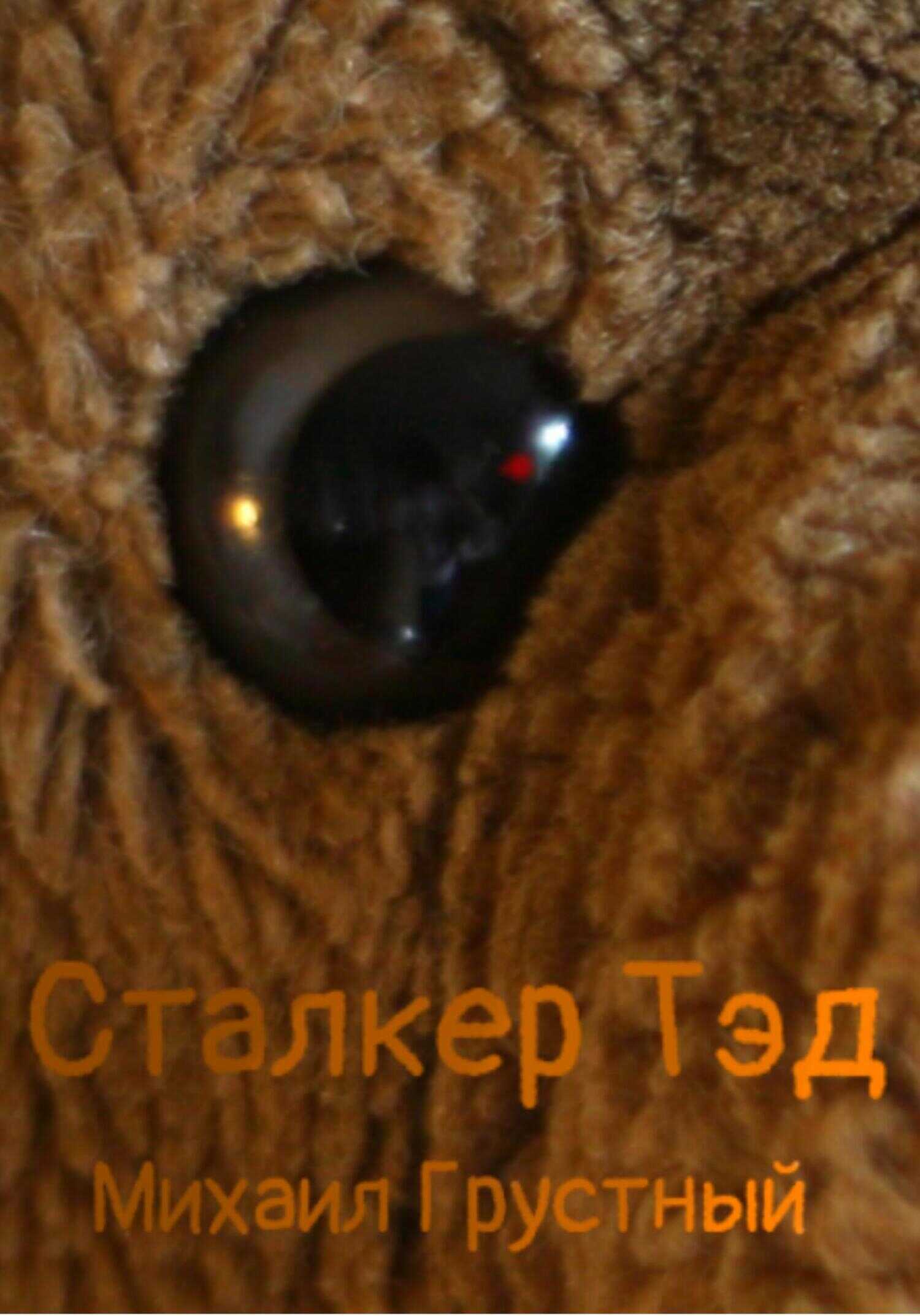 Сталкер Тэд - Михаил Грустный