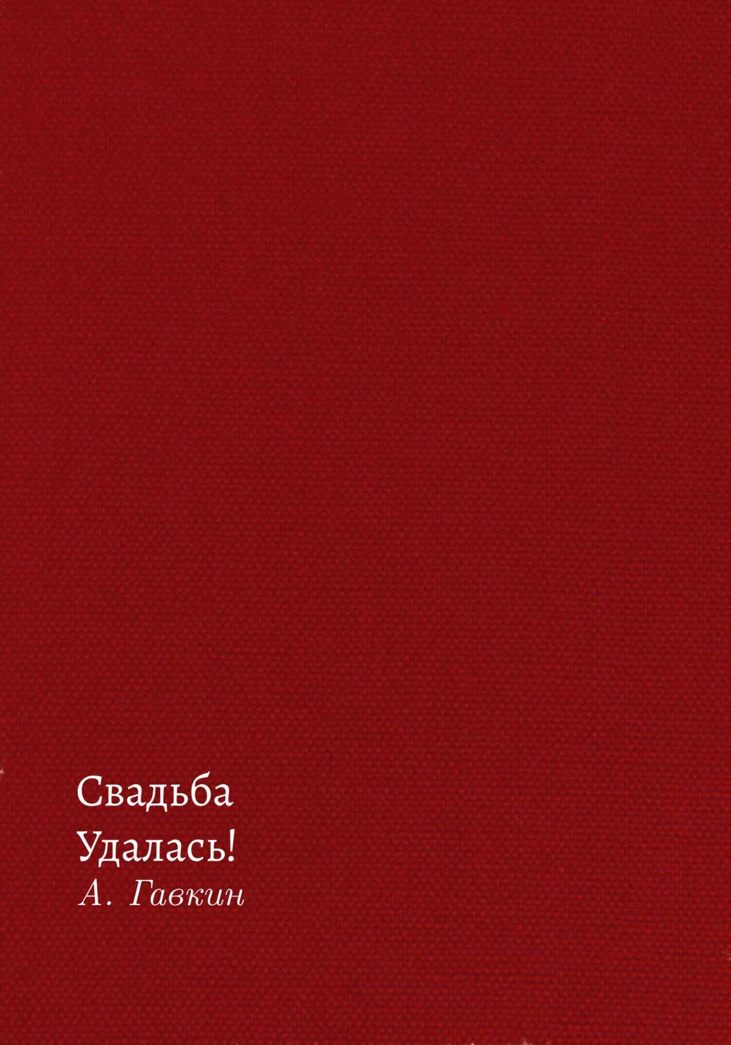 Свадьба удалась! - Александр Гавкин