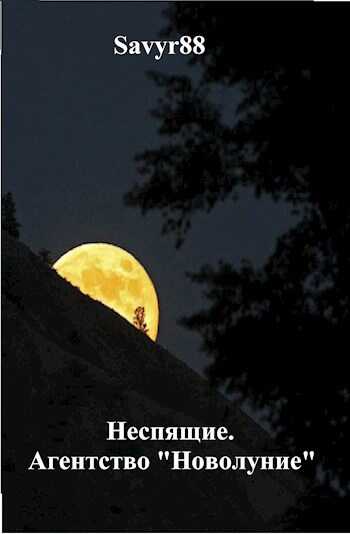 Агентство "Новолуние" - Андрей Соколов