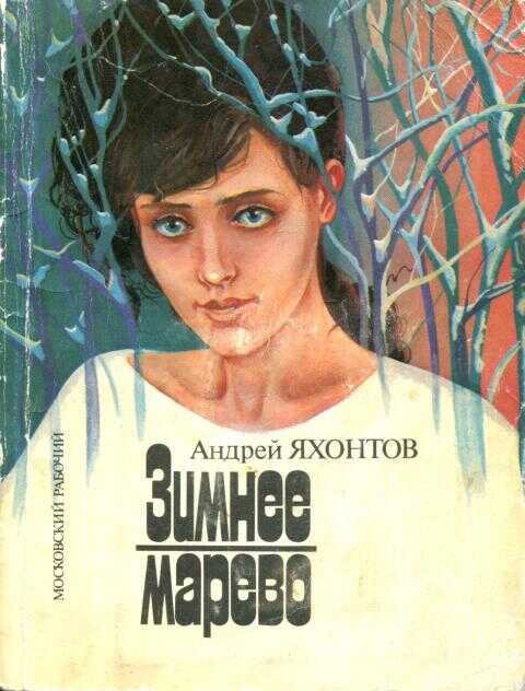 Зимнее марево - Андрей Николаевич Яхонтов