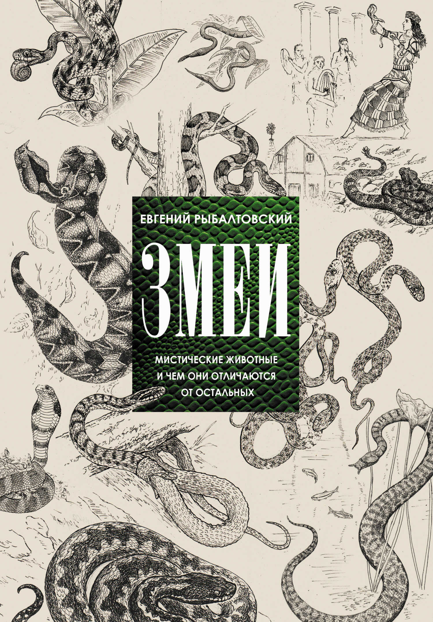 Змеи. Мистические животные и чем они отличаются от остальных - Евгений Рыбалтовский