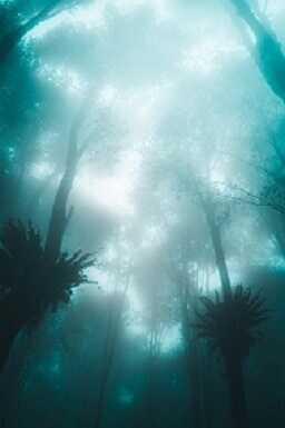 Зельевар. Буйный рост. - Элирио