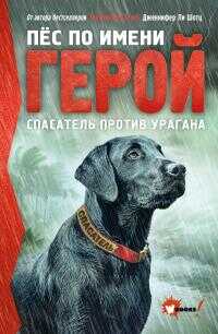 Спасатель против урагана - Дженнифер Ли Шотц