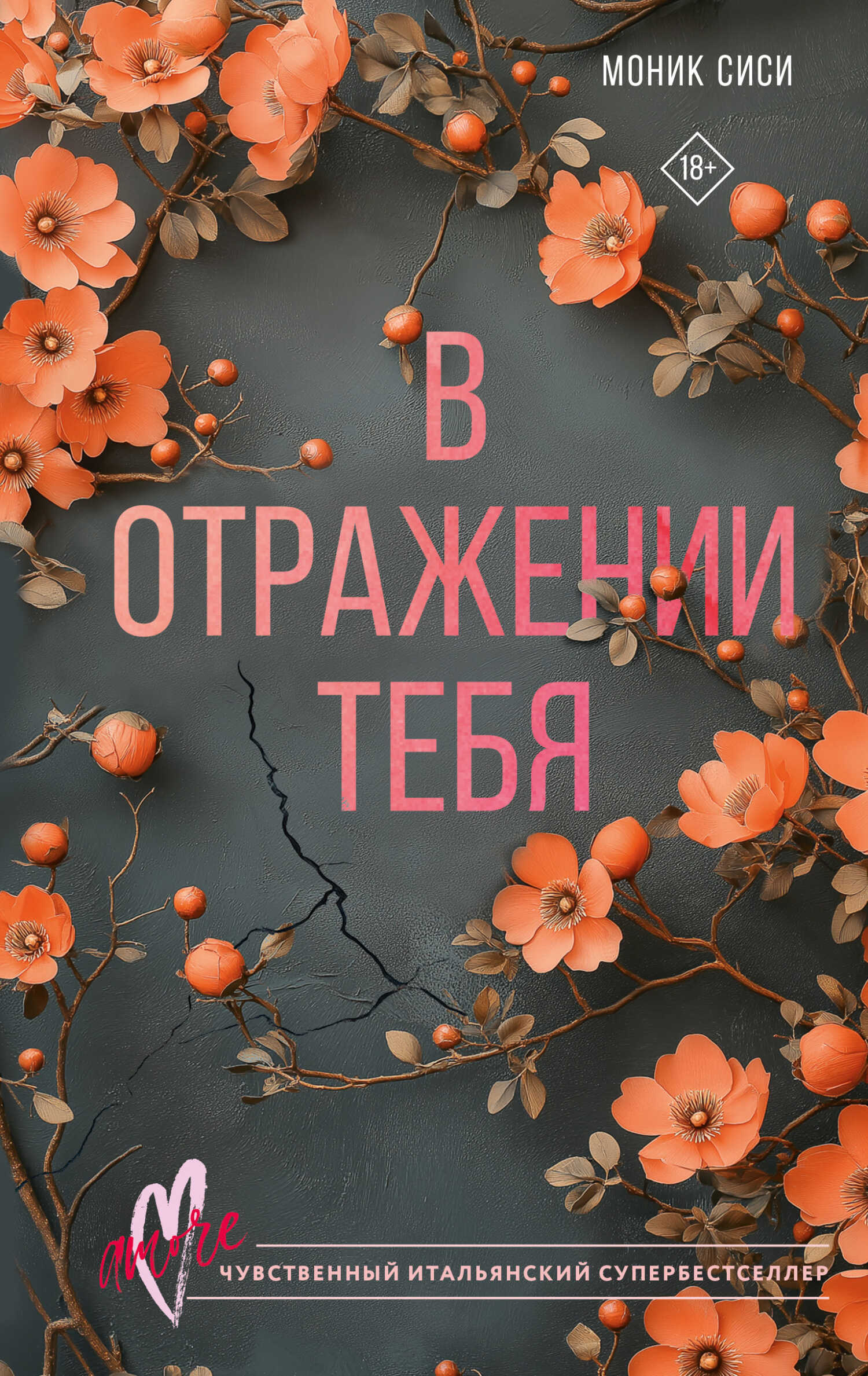 В отражении тебя - Моник Сиси