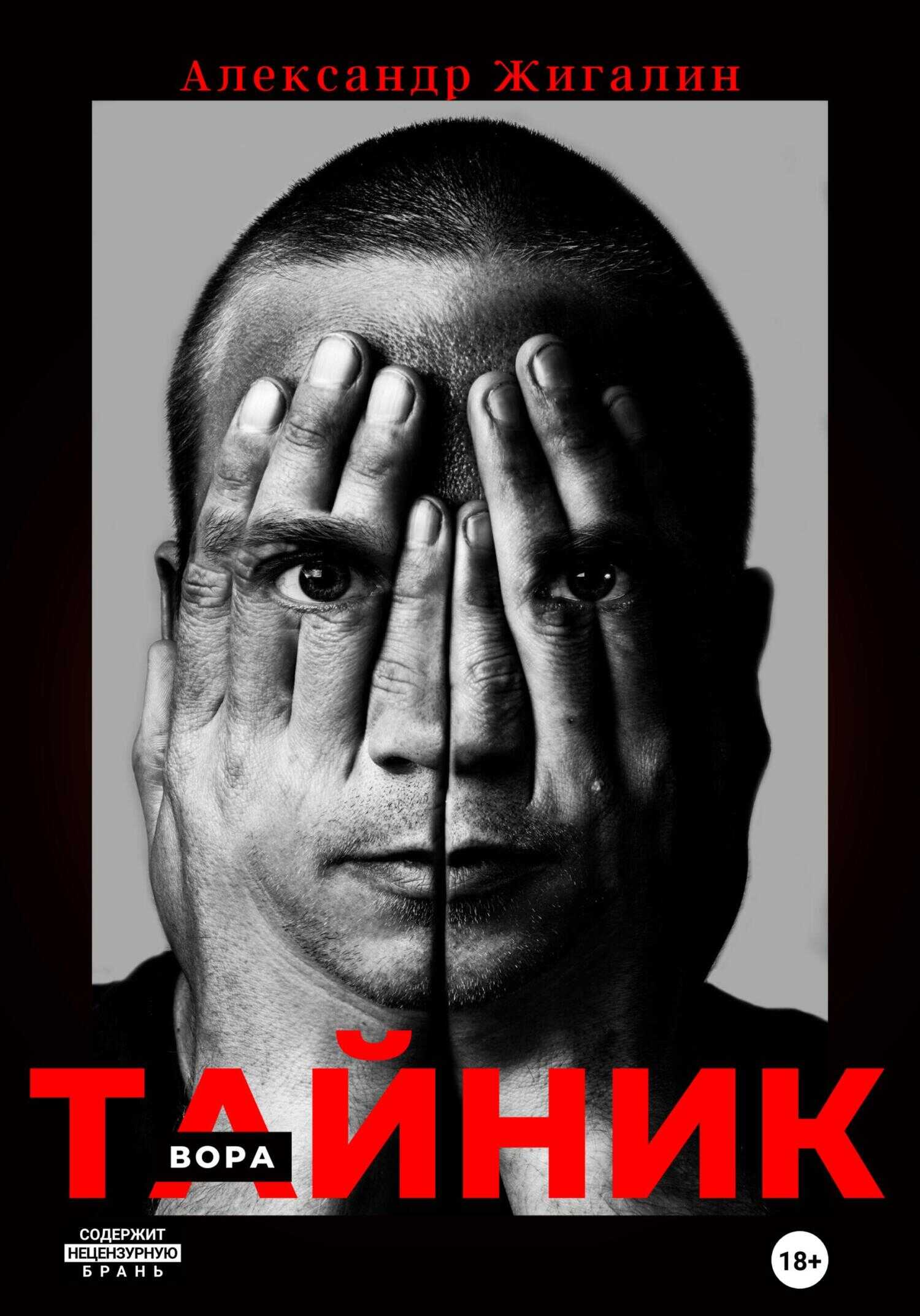 Тайник вора - Александр Жигалин