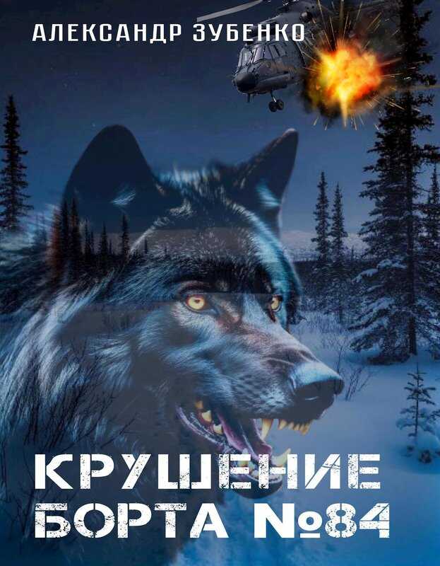 Крушение "Борта № 84" - Александр Зубенко