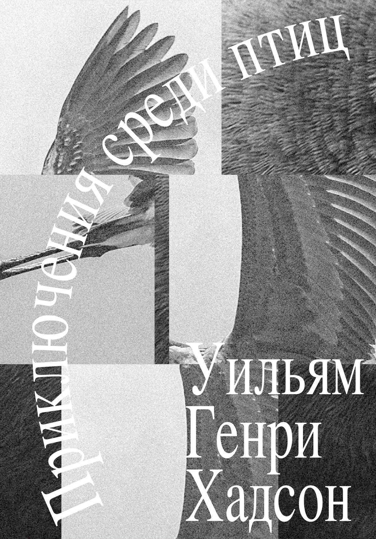 Приключения среди птиц - Уильям Генри Хадсон