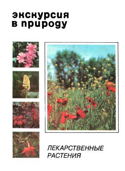 Экскурсия в природу. Лекарственные растения. Выпуск 1 - Александр Моисеевич Рабинович