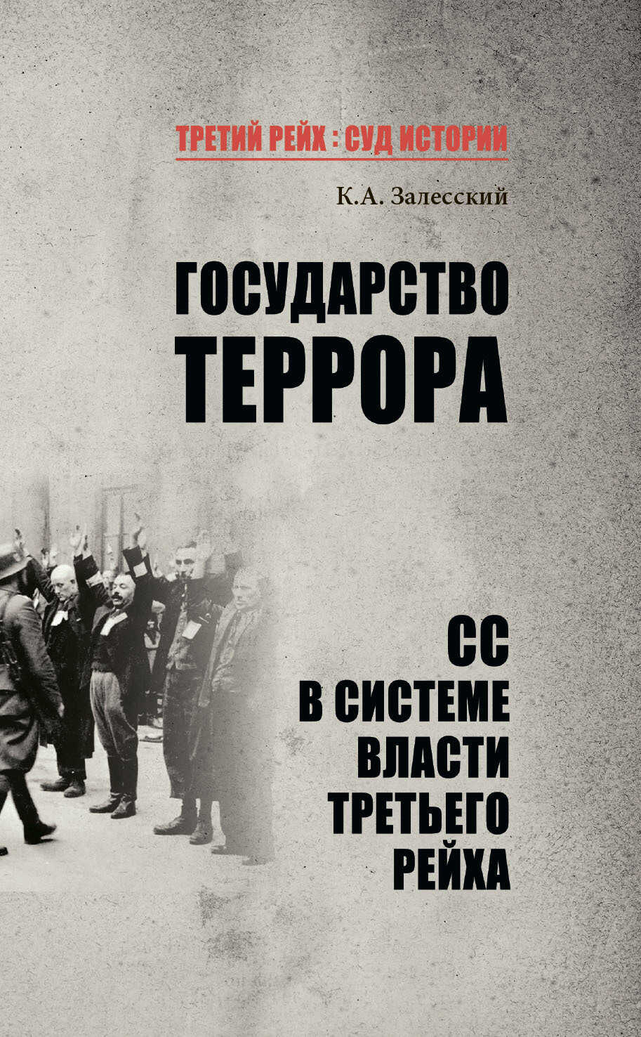 Государство террора. СС в системе власти Третьего рейха - Константин Александрович Залесский